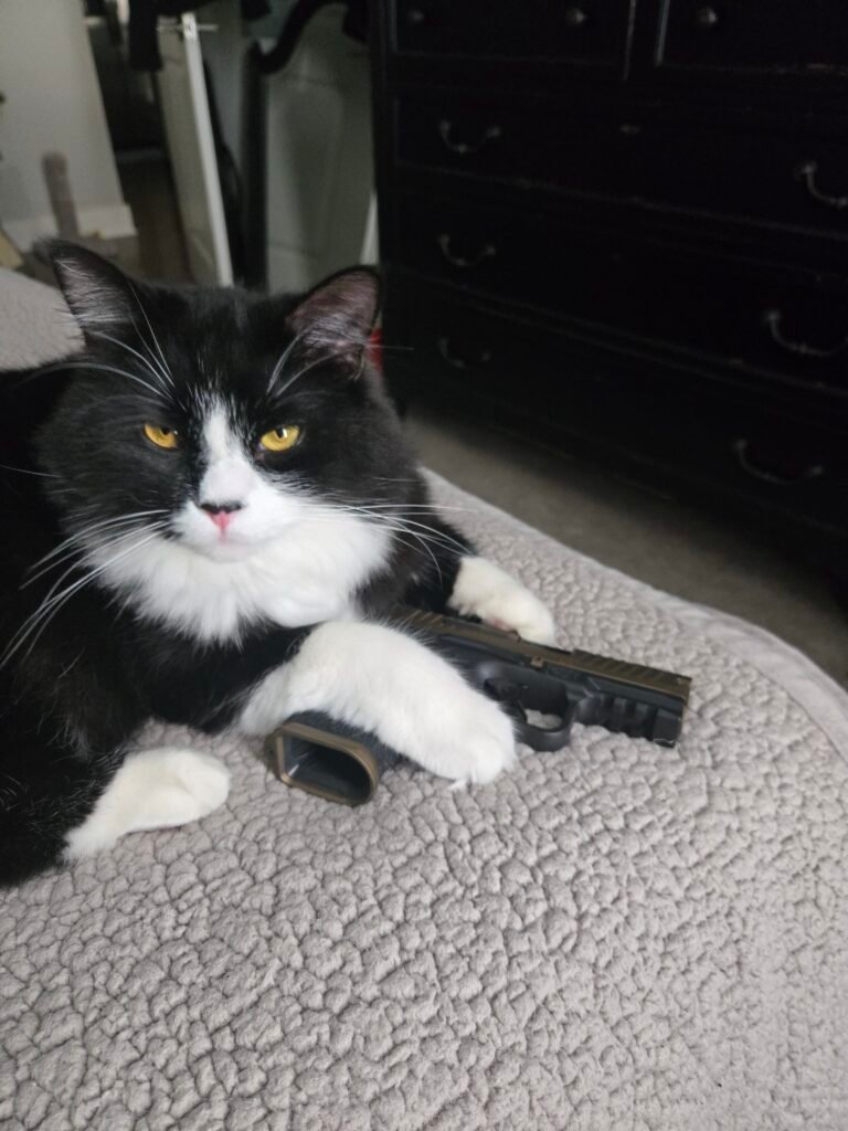 Image #2 from DANIEL JOHNSON